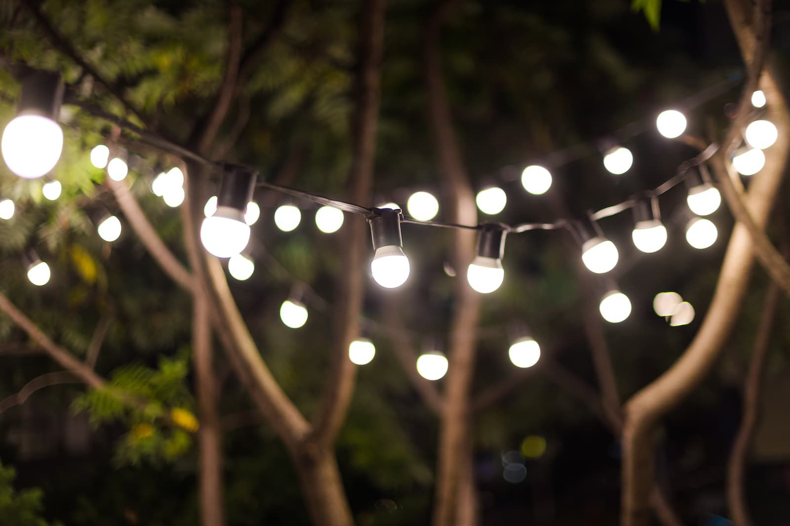 The Rising Popularity of Solar Fence Lights